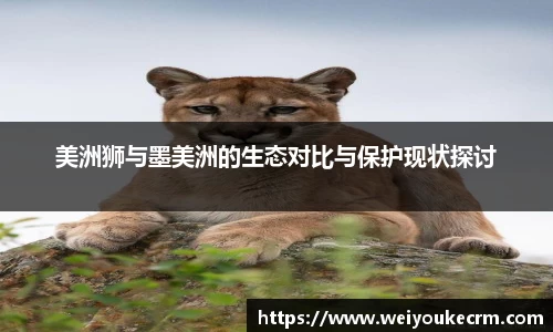 优游国际ub8官网